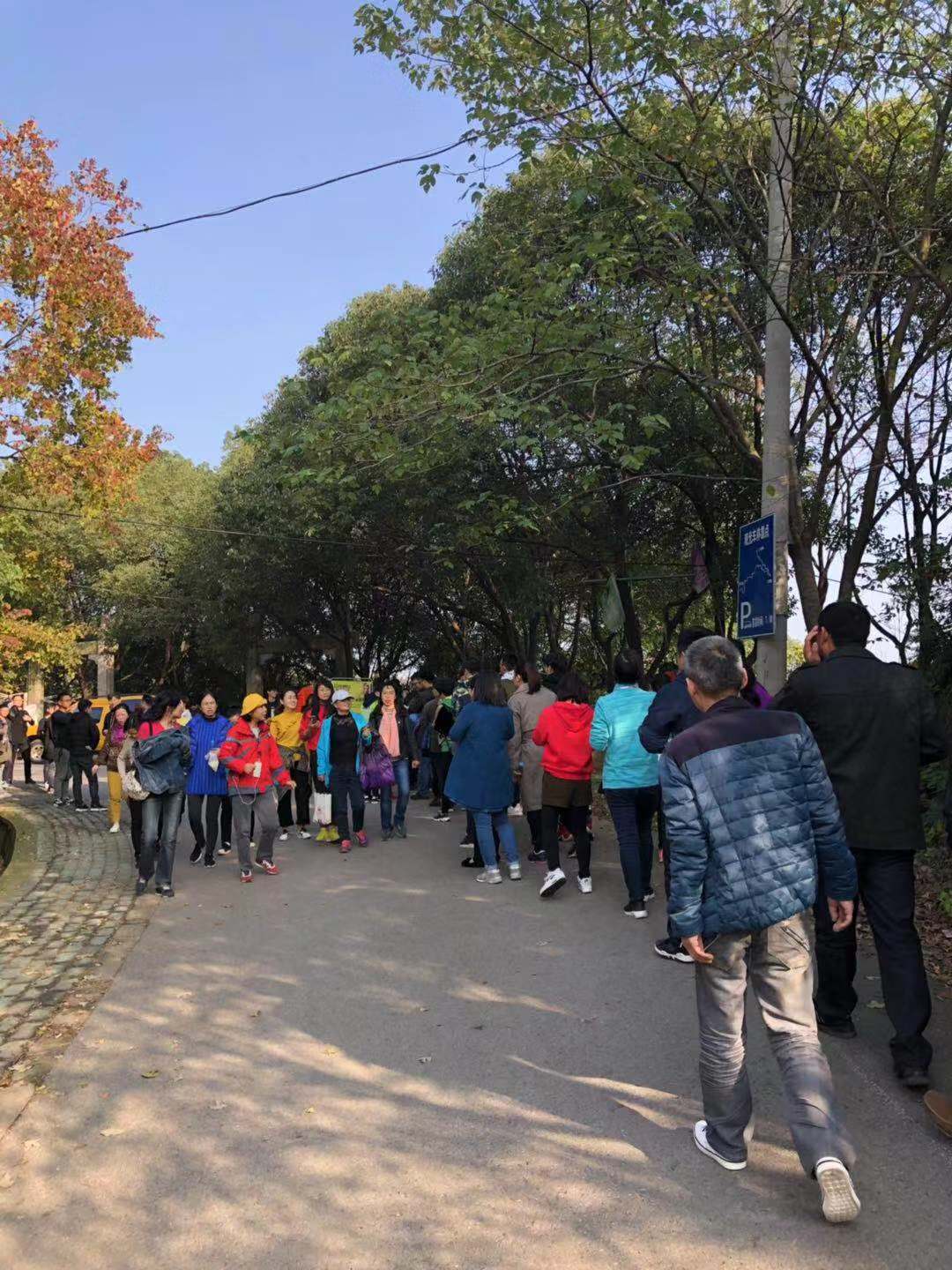 1631264669117834.jpg 2018.11.28润德梁物业参加蠡园开发区登山活动1.jpg